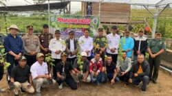 Bibit Anggur Salah Satu Implementasi Program ketahanan Pangan Desa Air Sempiang