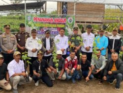 Bibit Anggur Salah Satu Implementasi Program ketahanan Pangan Desa Air Sempiang
