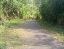Memprigati Hari Lingkungan Hidup Sedunia, Masyarakat Beserta Pemerintah Desa Temdak Melaksanakan gotong royong Bersih Jalan Desa